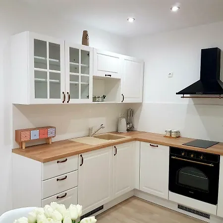 Staro Selo Apartment Bibinje